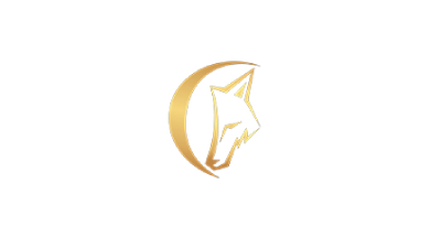 Логотип "Волки"